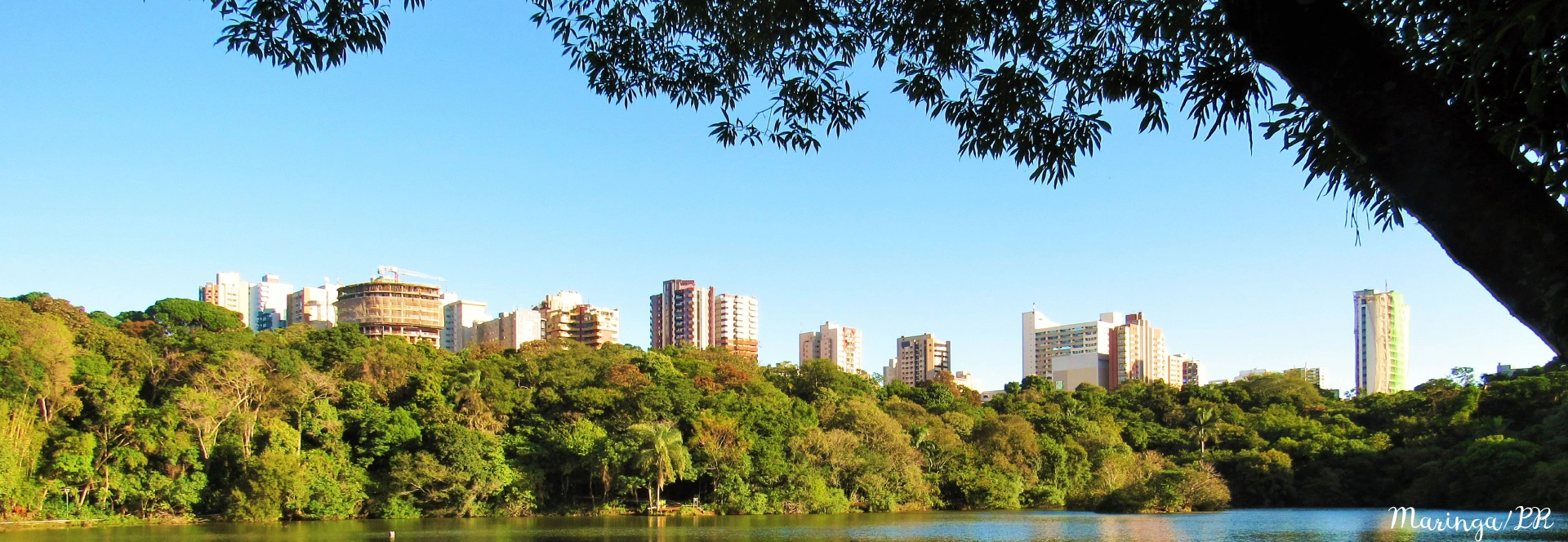 Crescimento e excelncia empresarial  fundamental um planejamento estratgico. - 